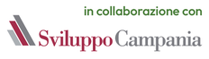 In collaborazione con Sviluppo Campania