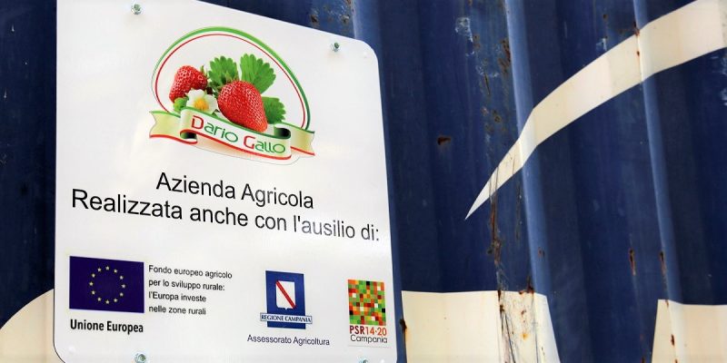 1 - Psr-Campania_Azienda-agricola-Dario-Gallo