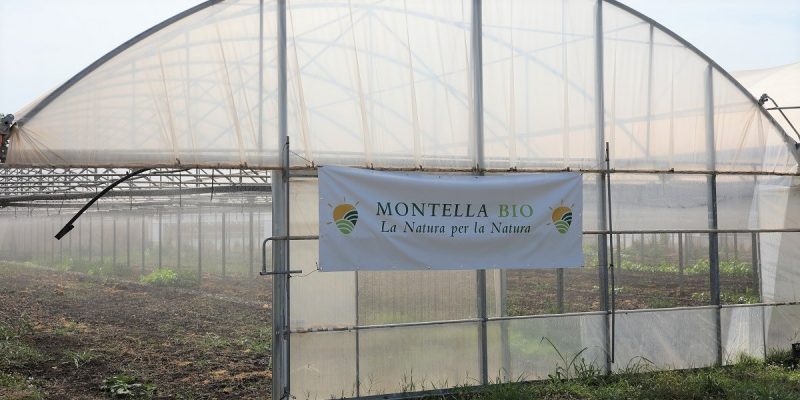 1-Rural-worlds_Study-visit-Montella-Bio_Frignano-17.06.2022