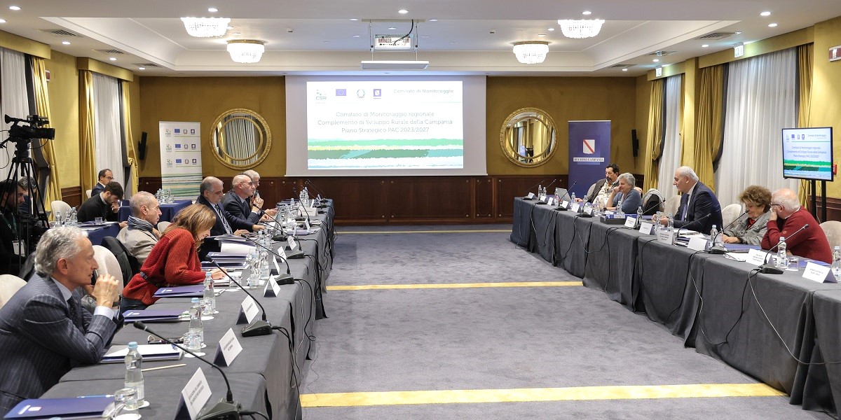 2-Csr-Campania-23-27_Comitato-Monitoraggio-regionale_Napoli-10.12.2024