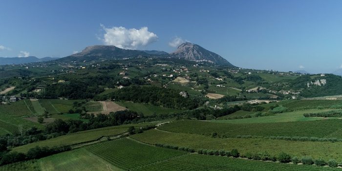 3-PsrCampania_video-Gal