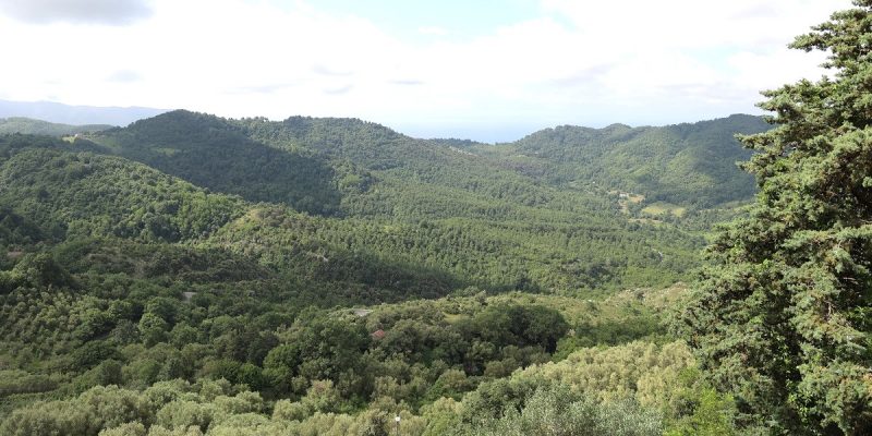 13-Psr-Campania_Tortorella